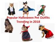 Popular Halloween Pet Outfits Trending in 2018