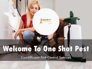 One Shot Pest Services Presentation