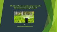 Lawn Care Company