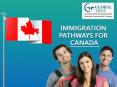 Canada Immigration Process | Immigration Pathways For Canada - Global Tree PowerPoint PPT Presentation