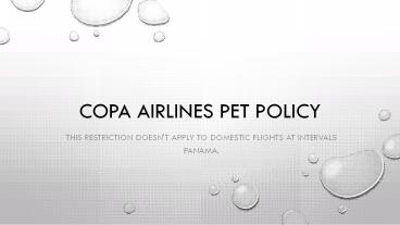 Copa Airlines Pet Policy