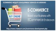 Software Development Company Varanasi, Website Development Company Varanasi