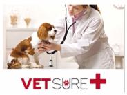 Pets Itch Relief Oil