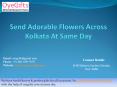 Send Adorable Flowers Across Kolkata At Same Day PowerPoint PPT Presentation