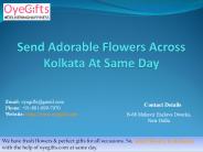 Send Adorable Flowers Across Kolkata At Same Day