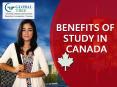 Canada Education Consultants | Benefits Of Study In Canada - Global Tree PowerPoint PPT Presentation