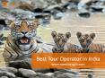 Best Tour Operator in India - Apex Voyages PowerPoint PPT Presentation