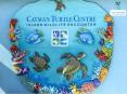 Plan An Exciting Turtle Adventure On Your Cayman Islands Trip PowerPoint PPT Presentation