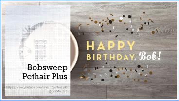 Bobsweep Pethair Plus (1)