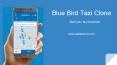 Blue Bird Taxi Clone PowerPoint PPT Presentation