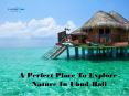 A Perfect Place To Explore Nature In Ubud, Bali PowerPoint PPT Presentation