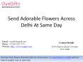 Send Adorable Flowers Across Delhi At Same Day PowerPoint PPT Presentation