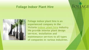 Foliage Indoor Plant hire