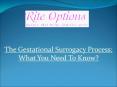 The Gestational Surrogacy Process: What You Need To Know? PowerPoint PPT Presentation
