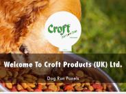 Croft Online Presentation