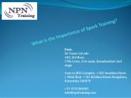 What is the Importance of Spark Training? (1)