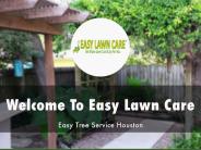Information Presentation Of Easy Lawn Care Houston