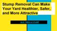 Stump Removal Can Make Your Yard Healthier, Safer, and More Attractive PowerPoint PPT Presentation