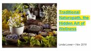 Traditional Naturopath, the Hidden Art of Wellness