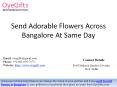 Send Adorable Flowers Across Bangalore At Same Day PowerPoint PPT Presentation