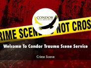 Information Presentation Of Condor Trauma Scene Service