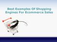 Best Examples Of Shopping Engines For Ecommerce Sales PowerPoint PPT Presentation