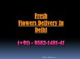 Fresh Flowers Delivery In Delhi | 9582-1481-41 PowerPoint PPT Presentation