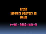 Fresh Flowers Delivery In Delhi | 9582-1481-41