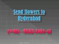 Send Flowers to Hyderabad | 9582-1481-41 PowerPoint PPT Presentation