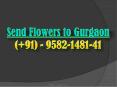 Send Flowers to Gurgaon | 9582-1481-41 PowerPoint PPT Presentation