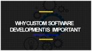 why Custom Software Development is important?