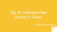Pest Control Services in Dubai | Citizen Group of Companies PowerPoint PPT Presentation