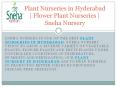 Plant Nurseries in Hyderabad | Flower Plant Nurseries | Sneha Nursery PowerPoint PPT Presentation