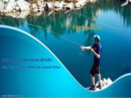 Flightsbird Providing Flights From Atlanta