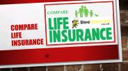 Compare Best Life Insurance Terms With Bee Insured