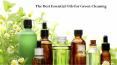 Use Essential Oils for Green Cleaning PowerPoint PPT Presentation