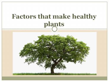 Factors that make healthy plants