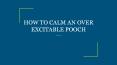 HOW TO CALM AN OVER EXCITABLE POOCH PowerPoint PPT Presentation