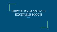HOW TO CALM AN OVER EXCITABLE POOCH