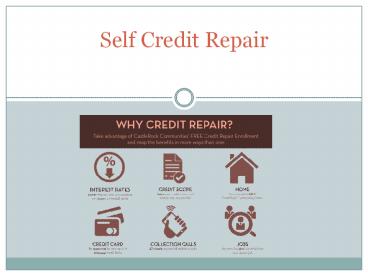 Self Credit Repair - Is Self Credit Repair the Best Option?