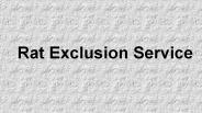 Rat Exclusion Service In Marietta