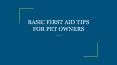 BASIC FIRST AID TIPS FOR PET OWNERS (1) PowerPoint PPT Presentation