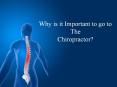 Why is it Important to go to The Chiropractor? - Stapleton Chiropractic Adelaide PowerPoint PPT Presentation