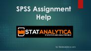 SPSS Assignment Help