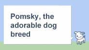 Pomsky - Most Popular dog breed of today