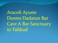 Araceli Ayuste Deems Dadatan Bat Cave A Bat Sanctuary in Talikud