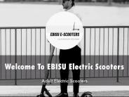 Information Presentation Of EBISU Electric Scooters