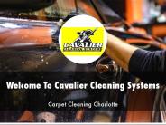 Information Presentation Of Cavalier Cleaning Systems