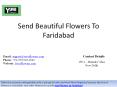 Send Beautiful Flowers To Faridabad PowerPoint PPT Presentation
