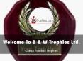 BW Trophies Presentation  PowerPoint PPT Presentation
